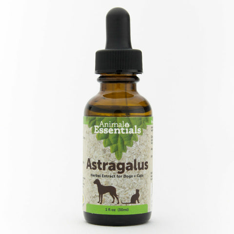 Animal Essentials, Astragalus, 1 oz