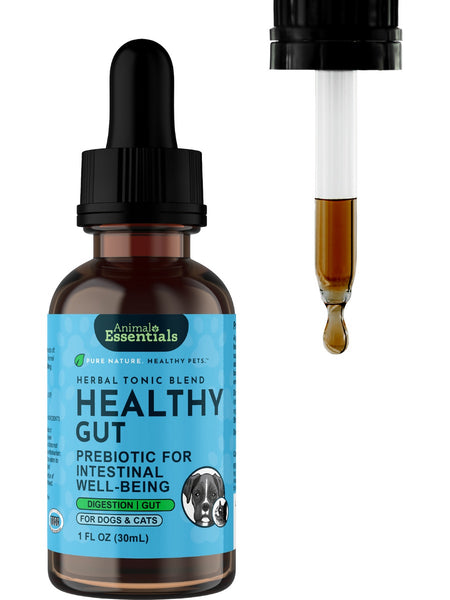 Animal Essentials, Healthy Gut, 1 oz