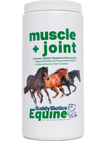 BuddyBiotics, Equine Muscle + Joint, 1.72 lbs (780 g)
