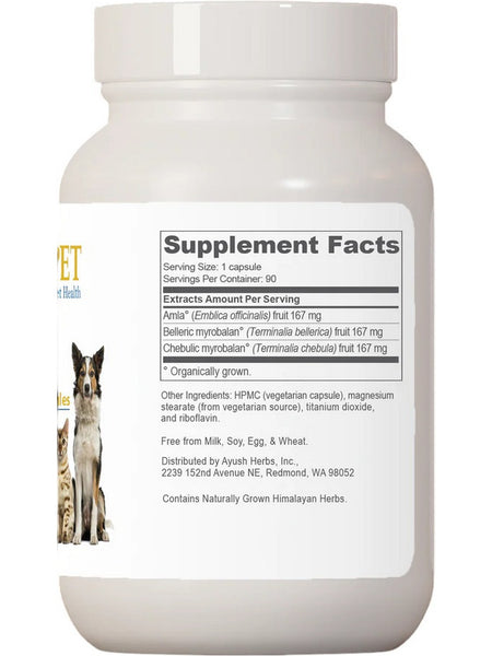 Ayush Herbs, Pet Trifal, 90 tabs