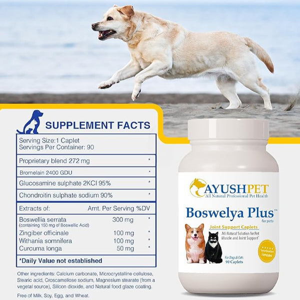 Ayush Herbs, Pet Boswelya Plus (Formerly Pet Paingon), 90 vcaplets