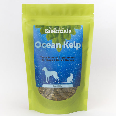 Animal Essentials, Organic Ocean Kelp, 8 oz